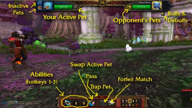 pet battle ui