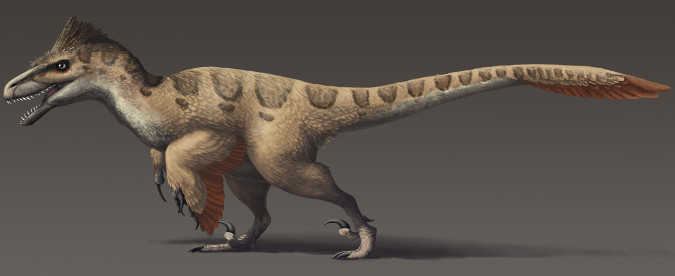 Utahraptor-NoHeaderNotRightSize-102315