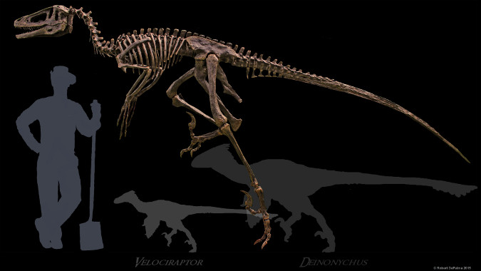 Dakotaraptor-Header-110615