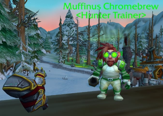 gnome hunter trainer