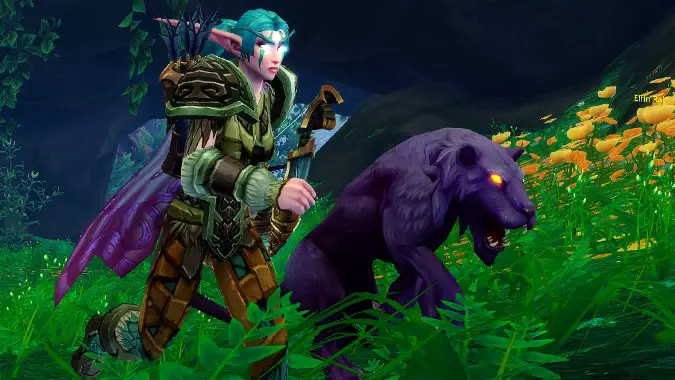 wow quest hunter pet