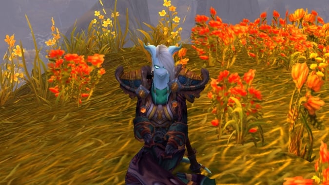 How many Draenei pictures do I have? As many as I need.