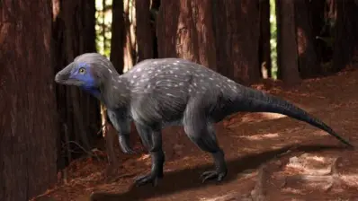 which dinosaur had feathers