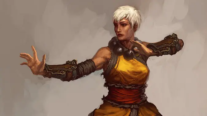 Diablo 3 female monk