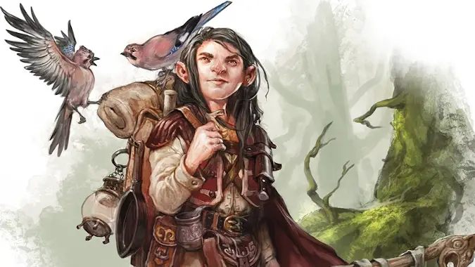 D&D Classes 101: Getting started with the Druid