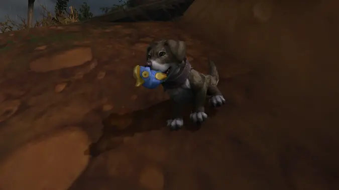 World of Warcraft Marmaduke battle pet with Ducky Toy