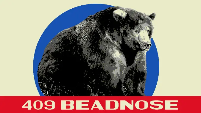 Fat Bear Week 2018's winning bear, Beadnose