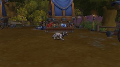 Dog in World of Warcraft Founder's Point