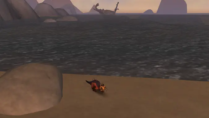 Otter pup in World of Warcraft Founder's Point